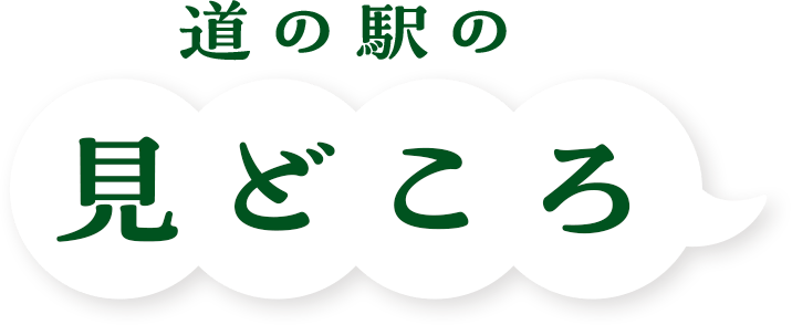 道の駅のみどころ